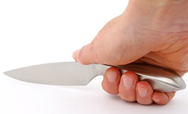 מבחר סכיני השף המקצועיים של לובלינסקי 
